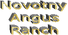 Novotny
Angus
Ranch